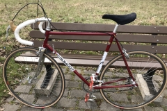 Colnago Super 1981
